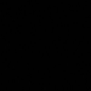 Meet your Posher, Tanisha